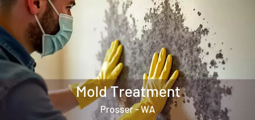  Mold Treatment Prosser - WA