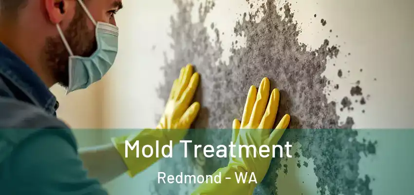  Mold Treatment Redmond - WA