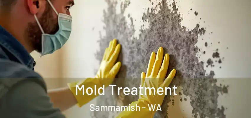  Mold Treatment Sammamish - WA