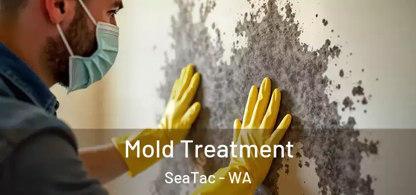 Mold Treatment SeaTac - WA