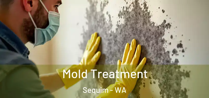  Mold Treatment Sequim - WA