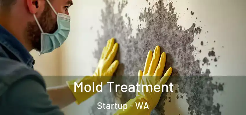  Mold Treatment Startup - WA