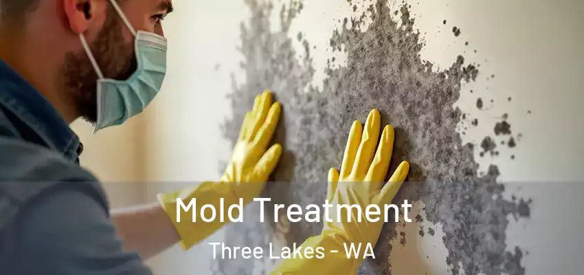  Mold Treatment Three Lakes - WA