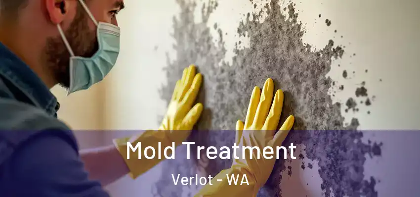 Mold Treatment Verlot - WA