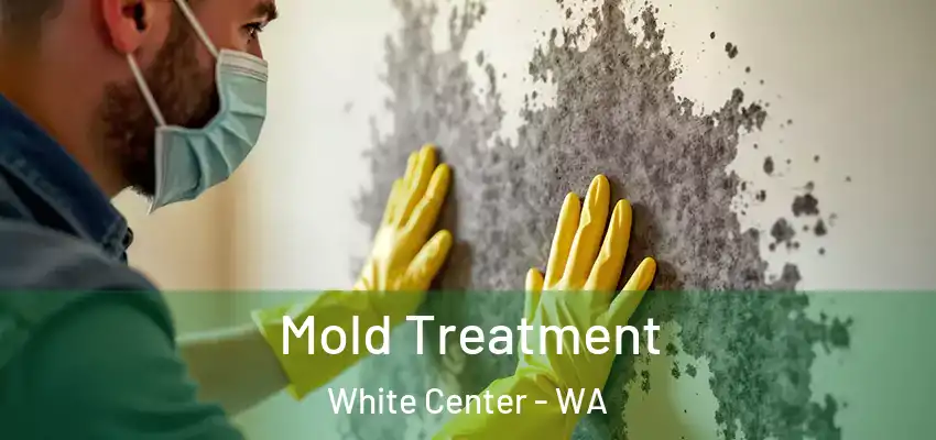 Mold Treatment White Center - WA