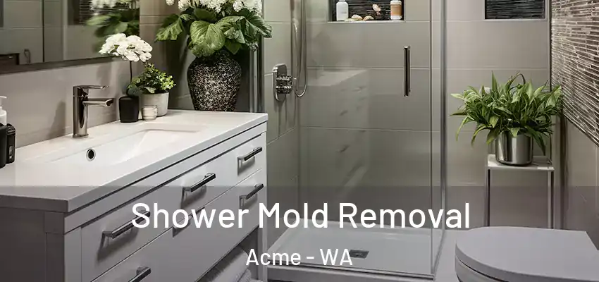  Shower Mold Removal Acme - WA