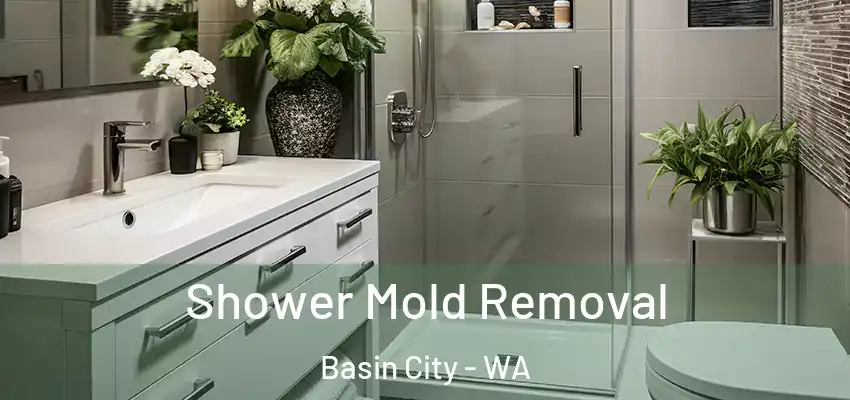  Shower Mold Removal Basin City - WA