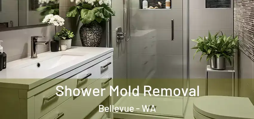  Shower Mold Removal Bellevue - WA