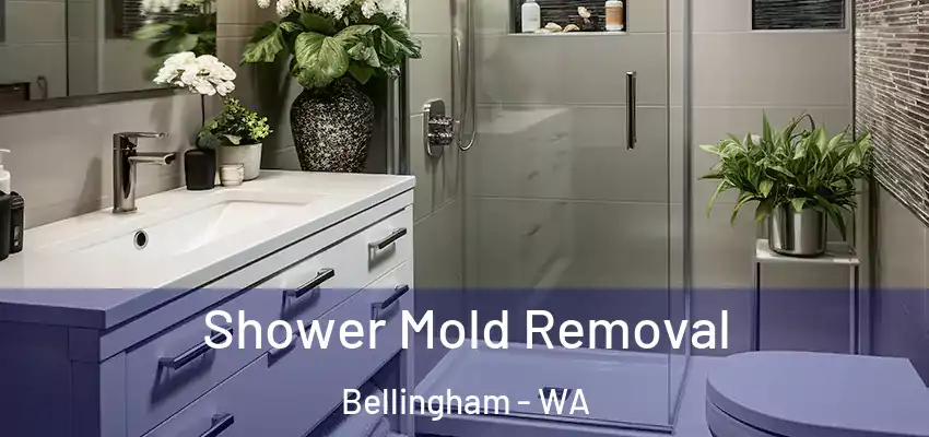  Shower Mold Removal Bellingham - WA