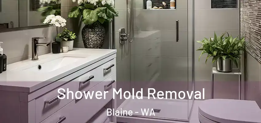 Shower Mold Removal Blaine - WA
