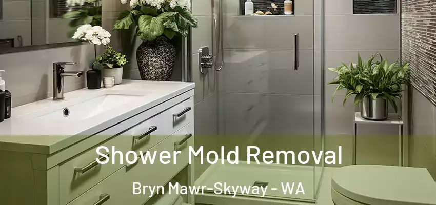  Shower Mold Removal Bryn Mawr-Skyway - WA