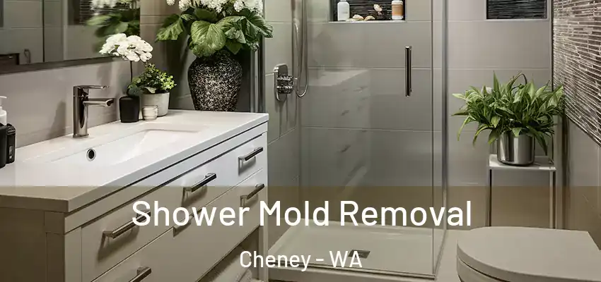  Shower Mold Removal Cheney - WA