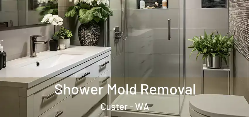 Shower Mold Removal Custer - WA