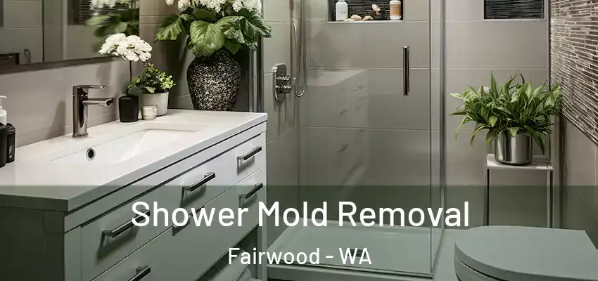  Shower Mold Removal Fairwood - WA