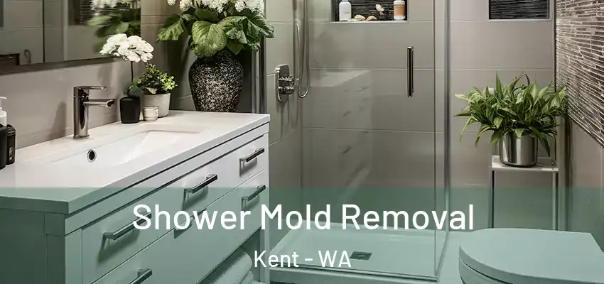  Shower Mold Removal Kent - WA