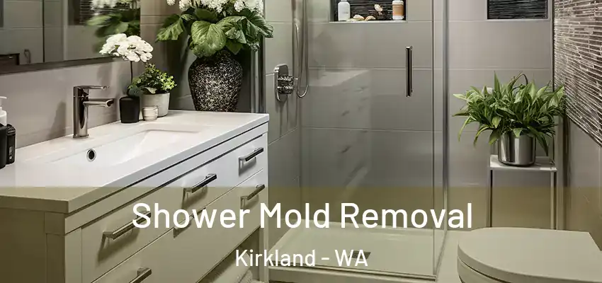  Shower Mold Removal Kirkland - WA