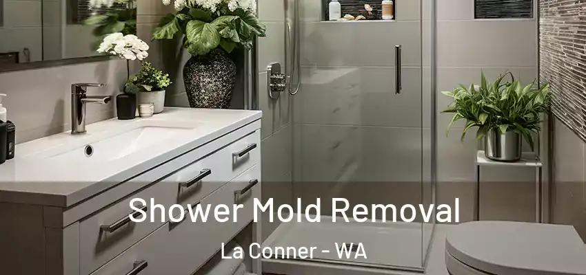  Shower Mold Removal La Conner - WA