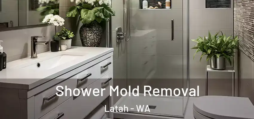 Shower Mold Removal Latah - WA