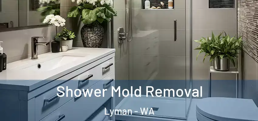  Shower Mold Removal Lyman - WA