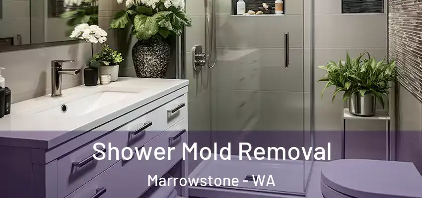  Shower Mold Removal Marrowstone - WA