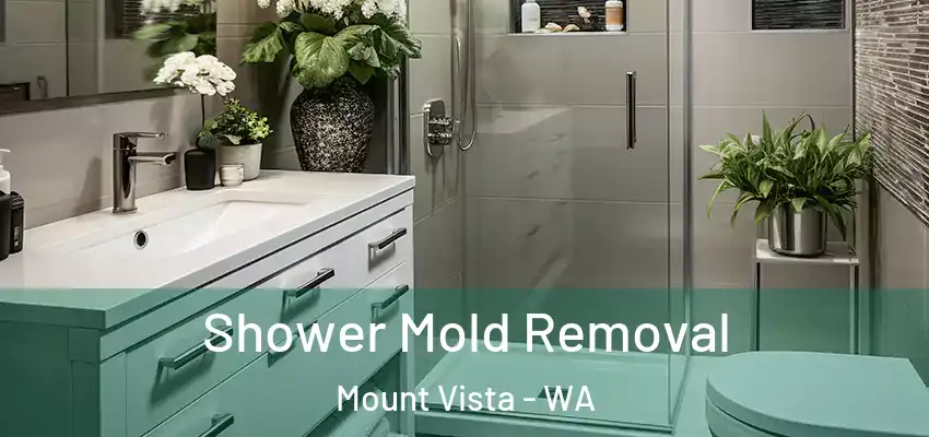 Shower Mold Removal Mount Vista - WA