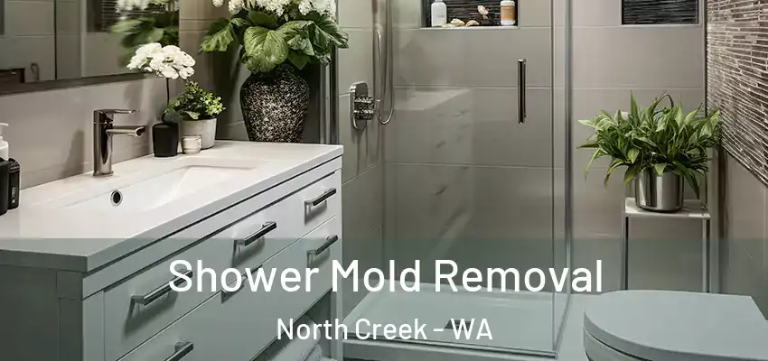  Shower Mold Removal North Creek - WA