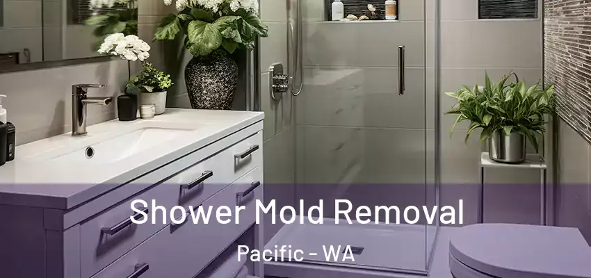  Shower Mold Removal Pacific - WA