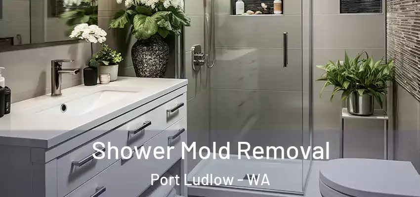  Shower Mold Removal Port Ludlow - WA