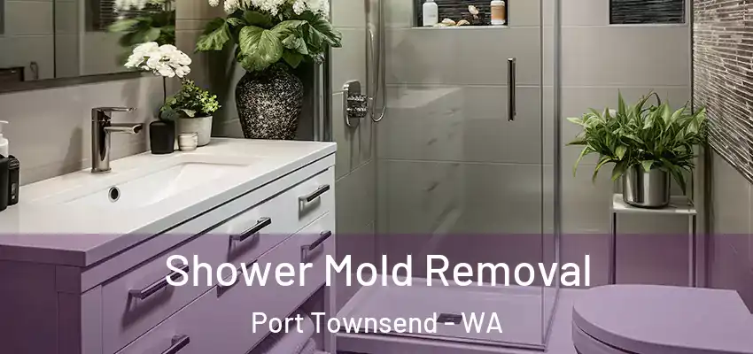  Shower Mold Removal Port Townsend - WA