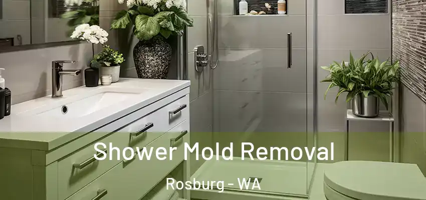  Shower Mold Removal Rosburg - WA