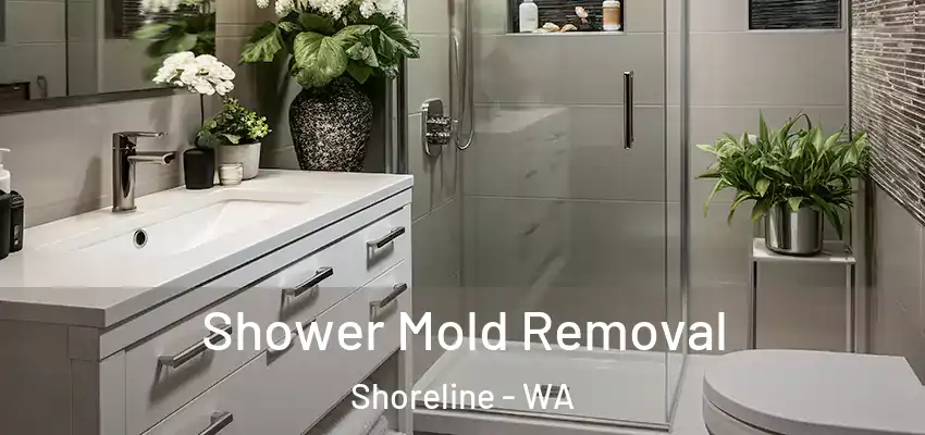  Shower Mold Removal Shoreline - WA