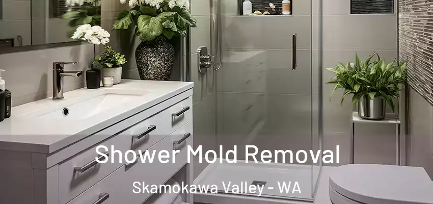 Shower Mold Removal Skamokawa Valley - WA