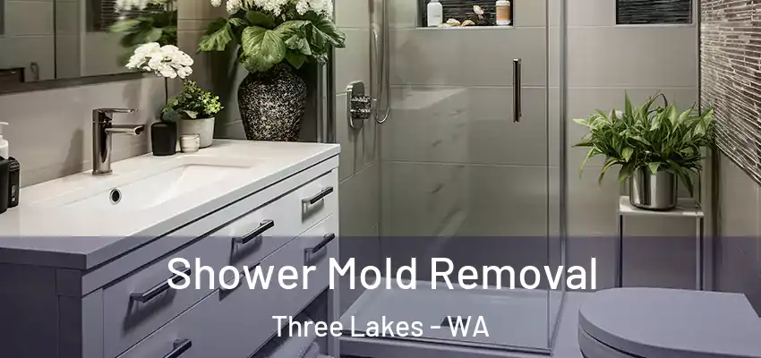  Shower Mold Removal Three Lakes - WA