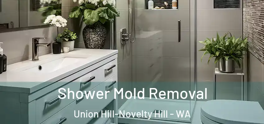  Shower Mold Removal Union Hill-Novelty Hill - WA