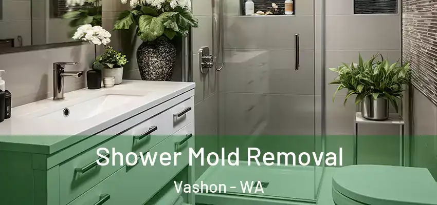  Shower Mold Removal Vashon - WA