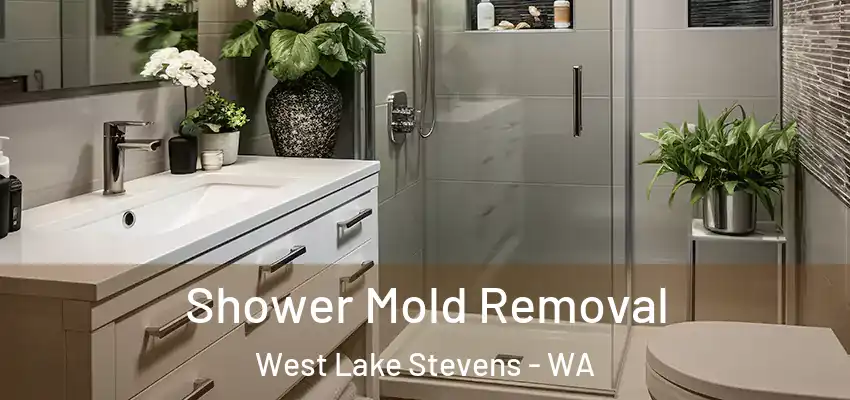  Shower Mold Removal West Lake Stevens - WA